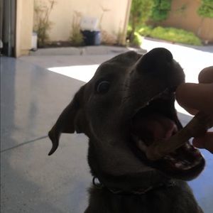 Meet your Posher, Ibraheem